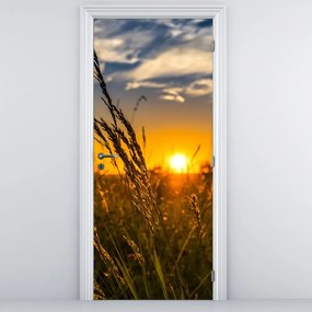 Fotótapéta ajtóra - Mező naplementekor (95x205cm)