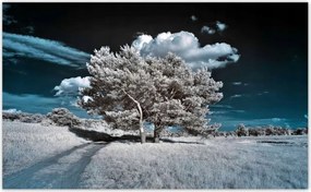 Fotótapéták 520x318 Fenséges fa