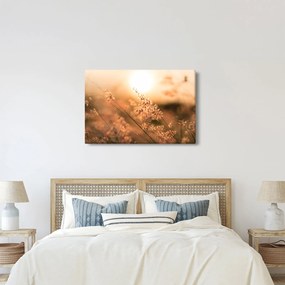 Kép - Fű a napon (90x60 cm)