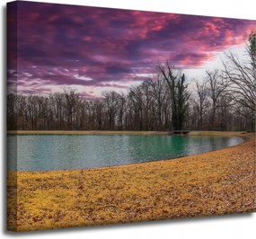 Vászonkép Lila ég tó fák Ősz 50x40 cm