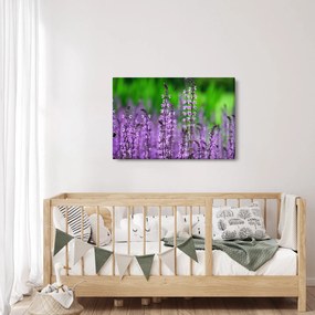 Lila mezei virágok képe (90x60 cm)