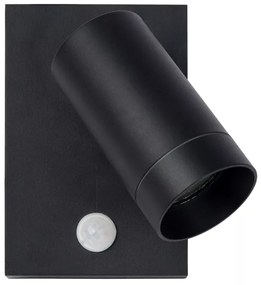 Lucide 09831/01/30 - Kültéri lámpatest érzékelővel TAYLOR 1xGU10/50W/230V IP54