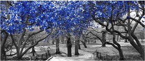 Kép - Kék fák, Central Park, New York (120x50 cm)