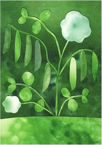 Poszter 50x70 cm Peas in Bloom – Anna Ravn Bjørn – The Poster Club