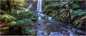 Ausztrál esőerdő képe (120x50 cm)