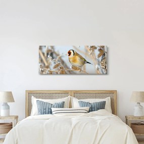 Kép - Aranypinty (120x50 cm)