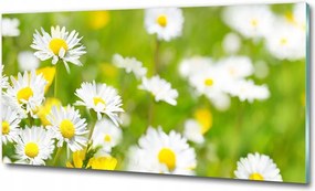 Fotótapéta falra edzett üveg Levendula 125x50