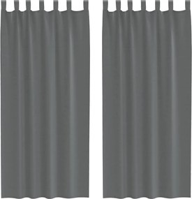 vidaXL 2 db sötétszürke fátyolfüggönyök hurokkal 140x245 cm