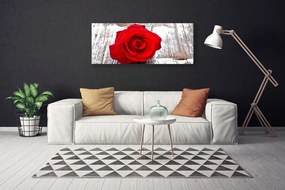 Vászonkép falra Rózsa Virág növény természet 140x70 cm