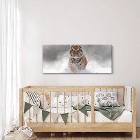 Futó tigris a hóban képe (120x50 cm)