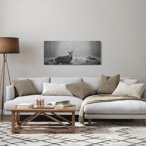 Kép - Szarvas az erdőben, fekete-fehér (120x50 cm)