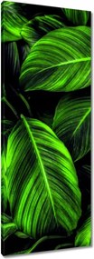 Vászonkép 40x100 Zöld levelek