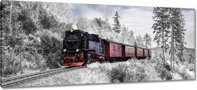 Vászonkép 100x40 Vonat és téli aura