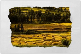 Plakátok 90x60 tájkép