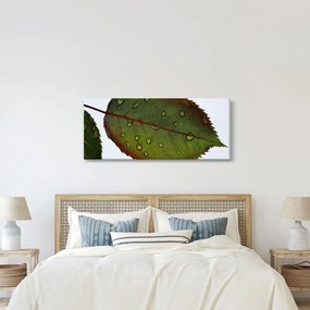 Kép - Rózsalevél (120x50 cm)