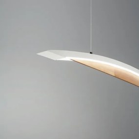 Fabas Luce 3697-40-102- LED dimmelhető csillár zsinóron CORDOBA LED/36W/230V fehér