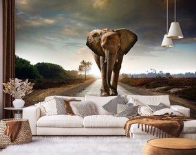 Gario Fotótapéta A vándorló elefánt Anyag: Vlies, Méret: 400 x 280 cm