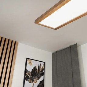 Brilagi-LED Dimmelhető lámpa WOODY FRAME LED/50W/230V tölgy 120x30 cm IP44 + távirányító