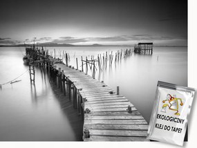 Fotótapéta Flizelina Tájkép Természet Híd Fekete-Fehér 200x140 ragasztó