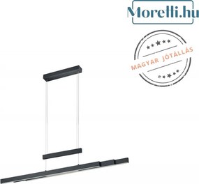TRIO 375310532 TRAJAN Modern Led Függesztett Lámpa LED IP20