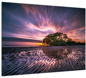 Egy fa a tengerparton képe (70x50 cm)