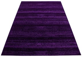 Sötétlila szőnyeg 140x200 cm Plus – Ayyildiz Carpets
