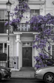 Poszter 53x81cm Ház a Portobello úton 2, Assaf Frank