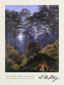 Festmény reprodukció The Forest under Moonlight (Vintage Fantasy Landscape) - Casper David Friedrich, (30 x 40 cm)