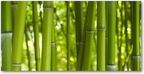 Fotó vászonkép edzett üveg Bambusz 140x70