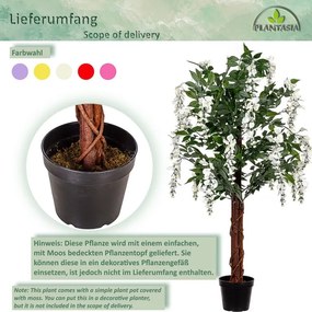 PLANTASIA Műnövény Wisteria 120 cm krém