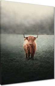 Vászonkép 60x80 Mint a szarvak Hegyi rét