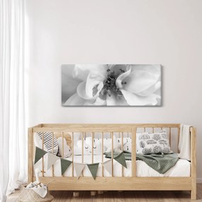 Kép - Virág, fekete-fehér (120x50 cm)