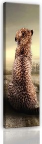 Vászonkép 45x145 Magány megfigyelés romok gepárd természet melankólia csend