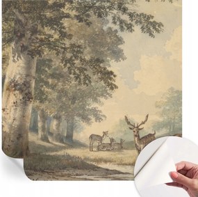 Dekoratív öntapadós fotótapéta Hálószobába Erdei nyugalom 250x250 cm