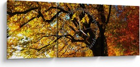 Az őszi kép (órával) (90x30 cm)