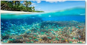 Fotó kép edzett üveg Korallzátony 140x70