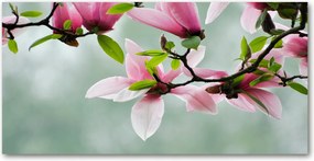 Fotó kép edzett üveg Magnolia 140x70