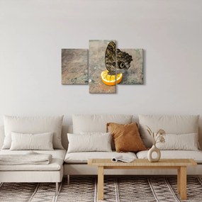 Pillangó képe (90x60 cm)