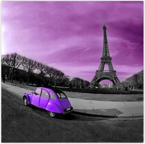 Poszterek 100x100 Lila Citroen