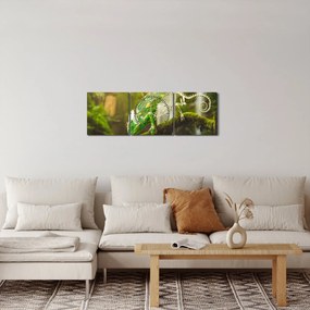 Kaméleon képe (órával) (90x30 cm)