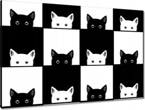 Képek 120x80 Cica Cicák