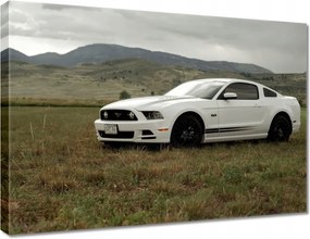 Vászonkép 70x50 Fehér Ford Mustang