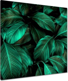 Vászonkép 90x90 Gyönyörű türkiz levelek