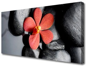 Canvas kép Virág Stones Art 100x50 cm