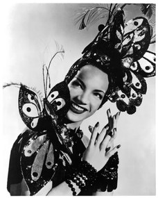 Fotográfia Carmen Miranda, Archive Photos