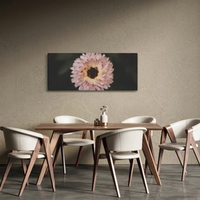 Narancsságra virág képe (120x50 cm)