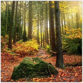 Poszterek 30x30 Tájkép