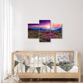 Kép - Hegyi virágzó táj (90x60 cm)