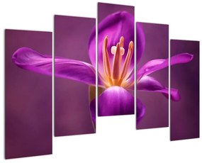 Modern kép - virágok  (125x90cm)