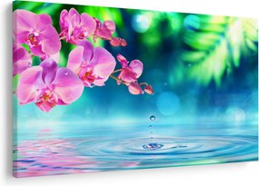 Kép - Orchidea (90x60 cm)